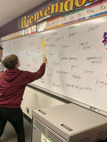 Spanish I review activity