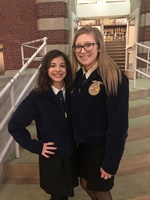FFA Contest